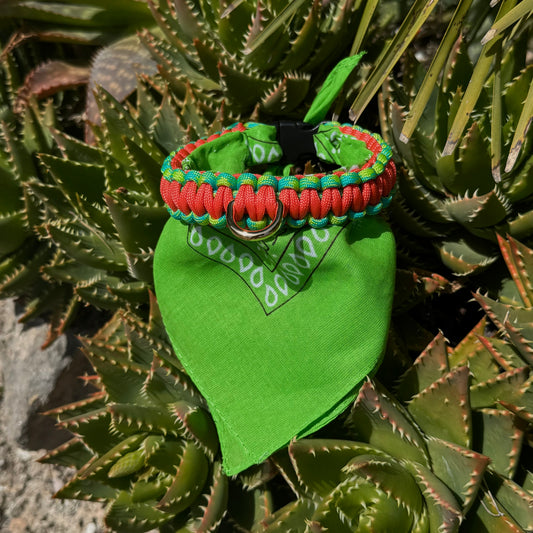 Desert Lime