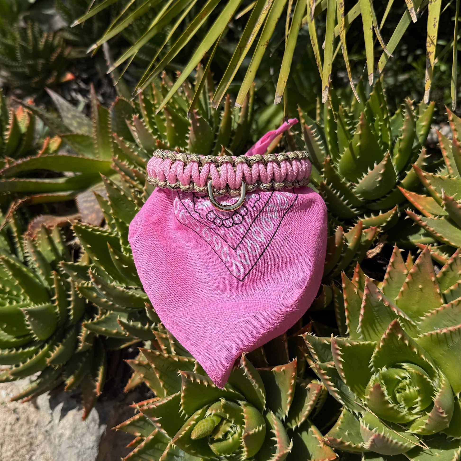 Pink Dust