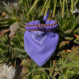 Collar (Personalized)