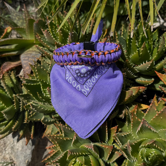 Wild Lilac
