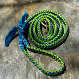 Matching Leash